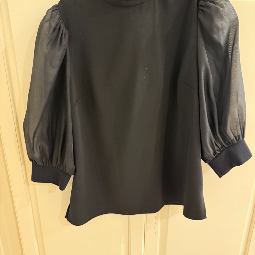Combo Listing: Tortoise print skirt & Ted Bakker black top - Picture 9 of 16